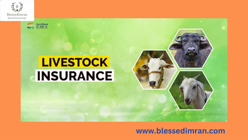 Livestock Insurance scheme